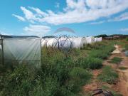 Terreno in vendita a Piombino LI