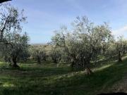Terreno in vendita a Piombino LI