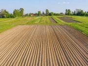 Terreno in vendita a Pisa PI