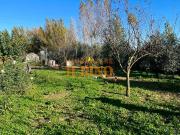Terreno in vendita a Pisa PI