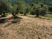 Terreno in vendita a Pistoia PT