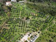 Terreno in vendita a Pistoia PT