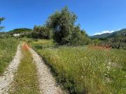 Terreno in vendita a Pistoia PT