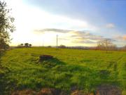 Terreno in vendita a Pitigliano GR