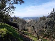 Terreno in vendita a Poggio Catino RI