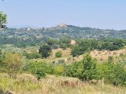 Terreno in vendita a Poggio Catino RI