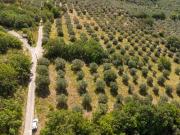 Terreno in vendita a Poggio Nativo RI