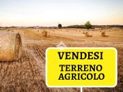 Terreno in vendita a Poirino TO