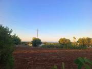 Terreno in vendita a Polignano a Mare BA