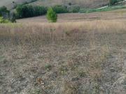 Terreno in vendita a Pollenza MC