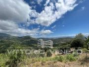 Terreno in vendita a Pollica SA