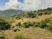 Terreno in vendita a Pollina PA Terreno in vendita a Pollina PA