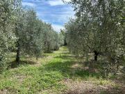 Terreno in vendita a Polpenazze del Garda BS