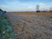 Terreno in vendita a Polverara PD