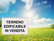 Terreno in vendita a Polverara PD