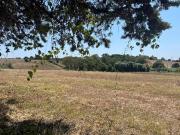 Terreno in vendita a Pomezia RM