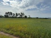 Terreno in vendita a Pomezia RM