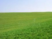 Terreno in vendita a Poncarale BS