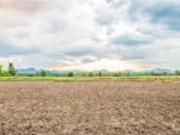 Terreno in vendita a Ponte San Nicolò PD