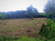 Terreno in vendita a Porto Viro RO