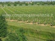 Terreno in vendita a Portogruaro VE