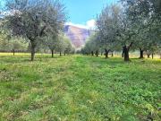 Terreno in vendita a Pove del Grappa VI