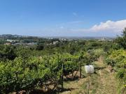 Terreno in vendita a Pozzuoli NA