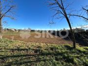 Terreno in vendita a Pozzuolo del Friuli UD