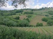 Terreno in vendita a Prata di Principato Ultra AV