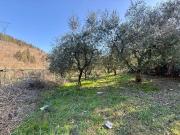 Terreno in vendita a Prato PO