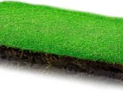 Terreno in vendita a Prato PO