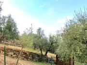 Terreno in vendita a Prato PO