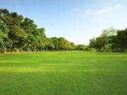 Terreno in vendita a Prato PO