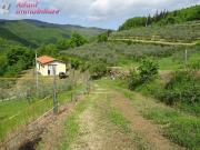 Terreno in vendita a Pratovecchio e Stia AR