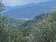 Terreno in vendita a Prignano Cilento SA