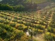 Terreno in vendita a Provaglio d'Iseo BS