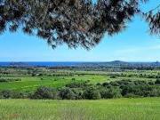 Terreno in vendita a Pula CA