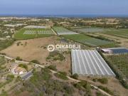 Terreno in vendita a Pula CA