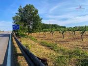Terreno in vendita a Putignano BA