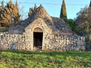 Terreno in vendita a Putignano BA