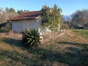 Terreno in vendita a Quarrata PT