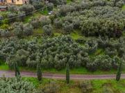 Terreno in vendita a Quarrata PT