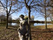 Terreno in vendita a Quarto d'Altino VE