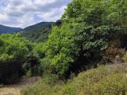 Terreno in vendita a Quiliano SV