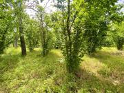 Terreno in vendita a Quindici AV