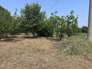 Terreno in vendita a Ravenna RA