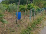 Terreno in vendita a Ravenna RA