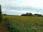 Terreno in vendita a Ravenna RA
