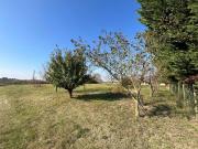 Terreno in vendita a Ravenna RA Terreno in vendita a Ravenna RA