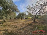 Terreno in vendita a Reggio Calabria RC